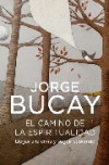 El camino de la espiritualidad. llegar a la cima y seguir subiendo