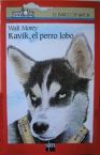 Kavik, el perro lobo