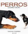 Perros: cómo son