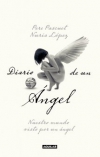 Diario de un ángel. nuestro mundo visto por un ángel