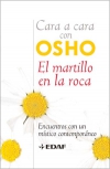 El martillo en la roca. encuentros con un místico contemporáneo