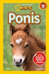 Ponis