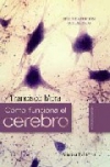 Cómo funciona el cerebro