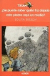 ¿se puede saber quién ha dejado esta piedra aquí en medio?