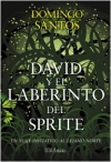 David y el laberinto del sprite