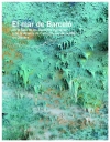 El mar de barceló en la sala de los derechos humanos y de la alianza de civiliza