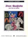 Don quijote que fue un sueño