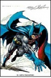 Batman ilustrado: neal adams, 1