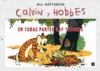 En todas partes hay tesoro (super calvin y hobbes)