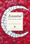 Estambul. paseos, miradas y resuellos
